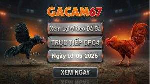 Xem Lại Video Đá Gà CPC4 Ngày 10/05/2026