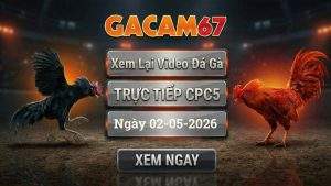 Xem Lại Video Đá Gà CPC5 Ngày 02/05/2026