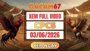 Xem Full Video Đá Gà CPC5 03/06/2026 tại GACAM67